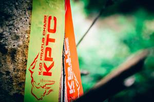 BIB: 
                            <button type="button" onclick="openModal(4538635)" class="btn btn-primary btn-sm float-right btn-popup" data-toggle="modal" data-target=".modal-high-quality">
                        <i class="fas fa-shopping-cart"></i> Add to Cart
                    </button>
                                            <button type="button" onclick="isThisMe(4538635, true)" class="btn btn-success btn-sm float-right btn-popup btn-isme hidden" data-toggle="tooltip" data-placement="bottom" title="นี่คือรูปของคุณใช่ไหม คลิกที่นี่เพื่อเอาเข้าอัลบั้ม">
                        <i class="fas fa-plus"></i> Add to album
                    </button>
                    <button type="button" onclick="isThisMe(4538635, false)" class="btn btn-warning btn-sm float-right btn-popup btn-isnotme hidden">
                        <i class="fas fa-ban"></i> Remove from album
                    </button>