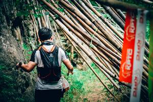 BIB: 
                            <button type="button" onclick="openModal(4538334)" class="btn btn-primary btn-sm float-right btn-popup" data-toggle="modal" data-target=".modal-high-quality">
                        <i class="fas fa-shopping-cart"></i> Add to Cart
                    </button>
                                            <button type="button" onclick="isThisMe(4538334, true)" class="btn btn-success btn-sm float-right btn-popup btn-isme hidden" data-toggle="tooltip" data-placement="bottom" title="นี่คือรูปของคุณใช่ไหม คลิกที่นี่เพื่อเอาเข้าอัลบั้ม">
                        <i class="fas fa-plus"></i> Add to album
                    </button>
                    <button type="button" onclick="isThisMe(4538334, false)" class="btn btn-warning btn-sm float-right btn-popup btn-isnotme hidden">
                        <i class="fas fa-ban"></i> Remove from album
                    </button>