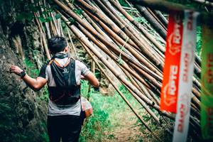 BIB: 
                            <button type="button" onclick="openModal(4538337)" class="btn btn-primary btn-sm float-right btn-popup" data-toggle="modal" data-target=".modal-high-quality">
                        <i class="fas fa-shopping-cart"></i> Add to Cart
                    </button>
                                            <button type="button" onclick="isThisMe(4538337, true)" class="btn btn-success btn-sm float-right btn-popup btn-isme hidden" data-toggle="tooltip" data-placement="bottom" title="นี่คือรูปของคุณใช่ไหม คลิกที่นี่เพื่อเอาเข้าอัลบั้ม">
                        <i class="fas fa-plus"></i> Add to album
                    </button>
                    <button type="button" onclick="isThisMe(4538337, false)" class="btn btn-warning btn-sm float-right btn-popup btn-isnotme hidden">
                        <i class="fas fa-ban"></i> Remove from album
                    </button>