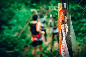 BIB: 
                            <button type="button" onclick="openModal(4538654)" class="btn btn-primary btn-sm float-right btn-popup" data-toggle="modal" data-target=".modal-high-quality">
                        <i class="fas fa-shopping-cart"></i> Add to Cart
                    </button>
                                            <button type="button" onclick="isThisMe(4538654, true)" class="btn btn-success btn-sm float-right btn-popup btn-isme hidden" data-toggle="tooltip" data-placement="bottom" title="นี่คือรูปของคุณใช่ไหม คลิกที่นี่เพื่อเอาเข้าอัลบั้ม">
                        <i class="fas fa-plus"></i> Add to album
                    </button>
                    <button type="button" onclick="isThisMe(4538654, false)" class="btn btn-warning btn-sm float-right btn-popup btn-isnotme hidden">
                        <i class="fas fa-ban"></i> Remove from album
                    </button>