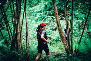 BIB: 
                            <button type="button" onclick="openModal(4538189)" class="btn btn-primary btn-sm float-right btn-popup" data-toggle="modal" data-target=".modal-high-quality">
                        <i class="fas fa-shopping-cart"></i> Add to Cart
                    </button>
                                            <button type="button" onclick="isThisMe(4538189, true)" class="btn btn-success btn-sm float-right btn-popup btn-isme hidden" data-toggle="tooltip" data-placement="bottom" title="นี่คือรูปของคุณใช่ไหม คลิกที่นี่เพื่อเอาเข้าอัลบั้ม">
                        <i class="fas fa-plus"></i> Add to album
                    </button>
                    <button type="button" onclick="isThisMe(4538189, false)" class="btn btn-warning btn-sm float-right btn-popup btn-isnotme hidden">
                        <i class="fas fa-ban"></i> Remove from album
                    </button>