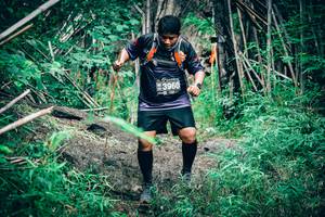 BIB: 3960
                            <button type="button" onclick="openModal(4538220)" class="btn btn-primary btn-sm float-right btn-popup" data-toggle="modal" data-target=".modal-high-quality">
                        <i class="fas fa-shopping-cart"></i> Add to Cart
                    </button>
                                            <button type="button" onclick="isThisMe(4538220, true)" class="btn btn-success btn-sm float-right btn-popup btn-isme hidden" data-toggle="tooltip" data-placement="bottom" title="นี่คือรูปของคุณใช่ไหม คลิกที่นี่เพื่อเอาเข้าอัลบั้ม">
                        <i class="fas fa-plus"></i> Add to album
                    </button>
                    <button type="button" onclick="isThisMe(4538220, false)" class="btn btn-warning btn-sm float-right btn-popup btn-isnotme hidden">
                        <i class="fas fa-ban"></i> Remove from album
                    </button>