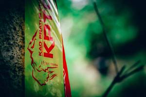 BIB: 
                            <button type="button" onclick="openModal(4538634)" class="btn btn-primary btn-sm float-right btn-popup" data-toggle="modal" data-target=".modal-high-quality">
                        <i class="fas fa-shopping-cart"></i> Add to Cart
                    </button>
                                            <button type="button" onclick="isThisMe(4538634, true)" class="btn btn-success btn-sm float-right btn-popup btn-isme hidden" data-toggle="tooltip" data-placement="bottom" title="นี่คือรูปของคุณใช่ไหม คลิกที่นี่เพื่อเอาเข้าอัลบั้ม">
                        <i class="fas fa-plus"></i> Add to album
                    </button>
                    <button type="button" onclick="isThisMe(4538634, false)" class="btn btn-warning btn-sm float-right btn-popup btn-isnotme hidden">
                        <i class="fas fa-ban"></i> Remove from album
                    </button>