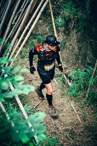 BIB: 535
                            <button type="button" onclick="openModal(4540610)" class="btn btn-primary btn-sm float-right btn-popup" data-toggle="modal" data-target=".modal-high-quality">
                        <i class="fas fa-shopping-cart"></i> Add to Cart
                    </button>
                                            <button type="button" onclick="isThisMe(4540610, true)" class="btn btn-success btn-sm float-right btn-popup btn-isme hidden" data-toggle="tooltip" data-placement="bottom" title="นี่คือรูปของคุณใช่ไหม คลิกที่นี่เพื่อเอาเข้าอัลบั้ม">
                        <i class="fas fa-plus"></i> Add to album
                    </button>
                    <button type="button" onclick="isThisMe(4540610, false)" class="btn btn-warning btn-sm float-right btn-popup btn-isnotme hidden">
                        <i class="fas fa-ban"></i> Remove from album
                    </button>