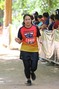 BIB: 2423
                            <button type="button" onclick="openModal(4231039)" class="btn btn-primary btn-sm float-right btn-popup" data-toggle="modal" data-target=".modal-high-quality">
                        <i class="fas fa-shopping-cart"></i> Add to Cart
                    </button>
                                            <button type="button" onclick="isThisMe(4231039, true)" class="btn btn-success btn-sm float-right btn-popup btn-isme hidden" data-toggle="tooltip" data-placement="bottom" title="นี่คือรูปของคุณใช่ไหม คลิกที่นี่เพื่อเอาเข้าอัลบั้ม">
                        <i class="fas fa-plus"></i> Add to album
                    </button>
                    <button type="button" onclick="isThisMe(4231039, false)" class="btn btn-warning btn-sm float-right btn-popup btn-isnotme hidden">
                        <i class="fas fa-ban"></i> Remove from album
                    </button>