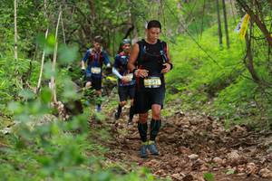 BIB: 5419
                            <button type="button" onclick="openModal(3905623)" class="btn btn-primary btn-sm float-right btn-popup" data-toggle="modal" data-target=".modal-high-quality">
                        <i class="fas fa-shopping-cart"></i> Add to Cart
                    </button>
                                            <button type="button" onclick="isThisMe(3905623, true)" class="btn btn-success btn-sm float-right btn-popup btn-isme hidden" data-toggle="tooltip" data-placement="bottom" title="นี่คือรูปของคุณใช่ไหม คลิกที่นี่เพื่อเอาเข้าอัลบั้ม">
                        <i class="fas fa-plus"></i> Add to album
                    </button>
                    <button type="button" onclick="isThisMe(3905623, false)" class="btn btn-warning btn-sm float-right btn-popup btn-isnotme hidden">
                        <i class="fas fa-ban"></i> Remove from album
                    </button>