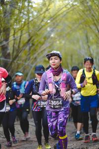 BIB: 366, 3664
                            <button type="button" onclick="openModal(4523060)" class="btn btn-primary btn-sm float-right btn-popup" data-toggle="modal" data-target=".modal-high-quality">
                        <i class="fas fa-shopping-cart"></i> Add to Cart
                    </button>
                                            <button type="button" onclick="isThisMe(4523060, true)" class="btn btn-success btn-sm float-right btn-popup btn-isme hidden" data-toggle="tooltip" data-placement="bottom" title="นี่คือรูปของคุณใช่ไหม คลิกที่นี่เพื่อเอาเข้าอัลบั้ม">
                        <i class="fas fa-plus"></i> Add to album
                    </button>
                    <button type="button" onclick="isThisMe(4523060, false)" class="btn btn-warning btn-sm float-right btn-popup btn-isnotme hidden">
                        <i class="fas fa-ban"></i> Remove from album
                    </button>