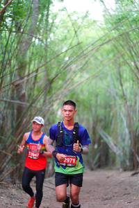 BIB: 7047, 2971
                            <button type="button" onclick="openModal(4284059)" class="btn btn-primary btn-sm float-right btn-popup" data-toggle="modal" data-target=".modal-high-quality">
                        <i class="fas fa-shopping-cart"></i> Add to Cart
                    </button>
                                            <button type="button" onclick="isThisMe(4284059, true)" class="btn btn-success btn-sm float-right btn-popup btn-isme hidden" data-toggle="tooltip" data-placement="bottom" title="นี่คือรูปของคุณใช่ไหม คลิกที่นี่เพื่อเอาเข้าอัลบั้ม">
                        <i class="fas fa-plus"></i> Add to album
                    </button>
                    <button type="button" onclick="isThisMe(4284059, false)" class="btn btn-warning btn-sm float-right btn-popup btn-isnotme hidden">
                        <i class="fas fa-ban"></i> Remove from album
                    </button>