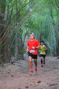 BIB: 3171
                            <button type="button" onclick="openModal(4321330)" class="btn btn-primary btn-sm float-right btn-popup" data-toggle="modal" data-target=".modal-high-quality">
                        <i class="fas fa-shopping-cart"></i> Add to Cart
                    </button>
                                            <button type="button" onclick="isThisMe(4321330, true)" class="btn btn-success btn-sm float-right btn-popup btn-isme hidden" data-toggle="tooltip" data-placement="bottom" title="นี่คือรูปของคุณใช่ไหม คลิกที่นี่เพื่อเอาเข้าอัลบั้ม">
                        <i class="fas fa-plus"></i> Add to album
                    </button>
                    <button type="button" onclick="isThisMe(4321330, false)" class="btn btn-warning btn-sm float-right btn-popup btn-isnotme hidden">
                        <i class="fas fa-ban"></i> Remove from album
                    </button>