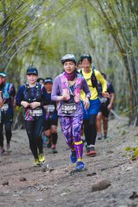 BIB: 3664, 3667
                            <button type="button" onclick="openModal(4523056)" class="btn btn-primary btn-sm float-right btn-popup" data-toggle="modal" data-target=".modal-high-quality">
                        <i class="fas fa-shopping-cart"></i> Add to Cart
                    </button>
                                            <button type="button" onclick="isThisMe(4523056, true)" class="btn btn-success btn-sm float-right btn-popup btn-isme hidden" data-toggle="tooltip" data-placement="bottom" title="นี่คือรูปของคุณใช่ไหม คลิกที่นี่เพื่อเอาเข้าอัลบั้ม">
                        <i class="fas fa-plus"></i> Add to album
                    </button>
                    <button type="button" onclick="isThisMe(4523056, false)" class="btn btn-warning btn-sm float-right btn-popup btn-isnotme hidden">
                        <i class="fas fa-ban"></i> Remove from album
                    </button>