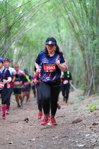 BIB: 2593, 
                            <button type="button" onclick="openModal(4289976)" class="btn btn-primary btn-sm float-right btn-popup" data-toggle="modal" data-target=".modal-high-quality">
                        <i class="fas fa-shopping-cart"></i> Add to Cart
                    </button>
                                            <button type="button" onclick="isThisMe(4289976, true)" class="btn btn-success btn-sm float-right btn-popup btn-isme hidden" data-toggle="tooltip" data-placement="bottom" title="นี่คือรูปของคุณใช่ไหม คลิกที่นี่เพื่อเอาเข้าอัลบั้ม">
                        <i class="fas fa-plus"></i> Add to album
                    </button>
                    <button type="button" onclick="isThisMe(4289976, false)" class="btn btn-warning btn-sm float-right btn-popup btn-isnotme hidden">
                        <i class="fas fa-ban"></i> Remove from album
                    </button>