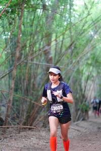 BIB: 43603
                            <button type="button" onclick="openModal(4329387)" class="btn btn-primary btn-sm float-right btn-popup" data-toggle="modal" data-target=".modal-high-quality">
                        <i class="fas fa-shopping-cart"></i> Add to Cart
                    </button>
                                            <button type="button" onclick="isThisMe(4329387, true)" class="btn btn-success btn-sm float-right btn-popup btn-isme hidden" data-toggle="tooltip" data-placement="bottom" title="นี่คือรูปของคุณใช่ไหม คลิกที่นี่เพื่อเอาเข้าอัลบั้ม">
                        <i class="fas fa-plus"></i> Add to album
                    </button>
                    <button type="button" onclick="isThisMe(4329387, false)" class="btn btn-warning btn-sm float-right btn-popup btn-isnotme hidden">
                        <i class="fas fa-ban"></i> Remove from album
                    </button>