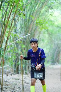 BIB: 3980
                            <button type="button" onclick="openModal(4161548)" class="btn btn-primary btn-sm float-right btn-popup" data-toggle="modal" data-target=".modal-high-quality">
                        <i class="fas fa-shopping-cart"></i> Add to Cart
                    </button>
                                            <button type="button" onclick="isThisMe(4161548, true)" class="btn btn-success btn-sm float-right btn-popup btn-isme hidden" data-toggle="tooltip" data-placement="bottom" title="นี่คือรูปของคุณใช่ไหม คลิกที่นี่เพื่อเอาเข้าอัลบั้ม">
                        <i class="fas fa-plus"></i> Add to album
                    </button>
                    <button type="button" onclick="isThisMe(4161548, false)" class="btn btn-warning btn-sm float-right btn-popup btn-isnotme hidden">
                        <i class="fas fa-ban"></i> Remove from album
                    </button>