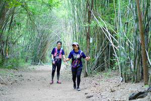 BIB: 
                            <button type="button" onclick="openModal(4161129)" class="btn btn-primary btn-sm float-right btn-popup" data-toggle="modal" data-target=".modal-high-quality">
                        <i class="fas fa-shopping-cart"></i> Add to Cart
                    </button>
                                            <button type="button" onclick="isThisMe(4161129, true)" class="btn btn-success btn-sm float-right btn-popup btn-isme hidden" data-toggle="tooltip" data-placement="bottom" title="นี่คือรูปของคุณใช่ไหม คลิกที่นี่เพื่อเอาเข้าอัลบั้ม">
                        <i class="fas fa-plus"></i> Add to album
                    </button>
                    <button type="button" onclick="isThisMe(4161129, false)" class="btn btn-warning btn-sm float-right btn-popup btn-isnotme hidden">
                        <i class="fas fa-ban"></i> Remove from album
                    </button>