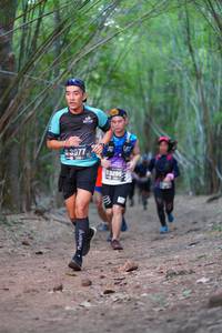 BIB: 43977, 3295
                            <button type="button" onclick="openModal(4321963)" class="btn btn-primary btn-sm float-right btn-popup" data-toggle="modal" data-target=".modal-high-quality">
                        <i class="fas fa-shopping-cart"></i> Add to Cart
                    </button>
                                            <button type="button" onclick="isThisMe(4321963, true)" class="btn btn-success btn-sm float-right btn-popup btn-isme hidden" data-toggle="tooltip" data-placement="bottom" title="นี่คือรูปของคุณใช่ไหม คลิกที่นี่เพื่อเอาเข้าอัลบั้ม">
                        <i class="fas fa-plus"></i> Add to album
                    </button>
                    <button type="button" onclick="isThisMe(4321963, false)" class="btn btn-warning btn-sm float-right btn-popup btn-isnotme hidden">
                        <i class="fas fa-ban"></i> Remove from album
                    </button>