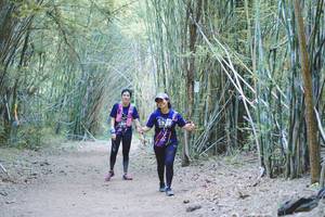 BIB: 
                            <button type="button" onclick="openModal(4515046)" class="btn btn-primary btn-sm float-right btn-popup" data-toggle="modal" data-target=".modal-high-quality">
                        <i class="fas fa-shopping-cart"></i> Add to Cart
                    </button>
                                            <button type="button" onclick="isThisMe(4515046, true)" class="btn btn-success btn-sm float-right btn-popup btn-isme hidden" data-toggle="tooltip" data-placement="bottom" title="นี่คือรูปของคุณใช่ไหม คลิกที่นี่เพื่อเอาเข้าอัลบั้ม">
                        <i class="fas fa-plus"></i> Add to album
                    </button>
                    <button type="button" onclick="isThisMe(4515046, false)" class="btn btn-warning btn-sm float-right btn-popup btn-isnotme hidden">
                        <i class="fas fa-ban"></i> Remove from album
                    </button>