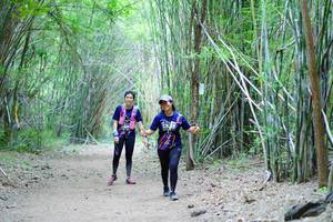 BIB: 
                            <button type="button" onclick="openModal(4161125)" class="btn btn-primary btn-sm float-right btn-popup" data-toggle="modal" data-target=".modal-high-quality">
                        <i class="fas fa-shopping-cart"></i> Add to Cart
                    </button>
                                            <button type="button" onclick="isThisMe(4161125, true)" class="btn btn-success btn-sm float-right btn-popup btn-isme hidden" data-toggle="tooltip" data-placement="bottom" title="นี่คือรูปของคุณใช่ไหม คลิกที่นี่เพื่อเอาเข้าอัลบั้ม">
                        <i class="fas fa-plus"></i> Add to album
                    </button>
                    <button type="button" onclick="isThisMe(4161125, false)" class="btn btn-warning btn-sm float-right btn-popup btn-isnotme hidden">
                        <i class="fas fa-ban"></i> Remove from album
                    </button>