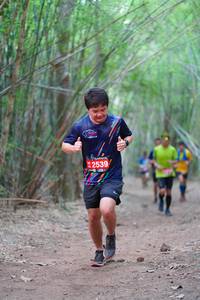 BIB: 2539
                            <button type="button" onclick="openModal(4285646)" class="btn btn-primary btn-sm float-right btn-popup" data-toggle="modal" data-target=".modal-high-quality">
                        <i class="fas fa-shopping-cart"></i> Add to Cart
                    </button>
                                            <button type="button" onclick="isThisMe(4285646, true)" class="btn btn-success btn-sm float-right btn-popup btn-isme hidden" data-toggle="tooltip" data-placement="bottom" title="นี่คือรูปของคุณใช่ไหม คลิกที่นี่เพื่อเอาเข้าอัลบั้ม">
                        <i class="fas fa-plus"></i> Add to album
                    </button>
                    <button type="button" onclick="isThisMe(4285646, false)" class="btn btn-warning btn-sm float-right btn-popup btn-isnotme hidden">
                        <i class="fas fa-ban"></i> Remove from album
                    </button>