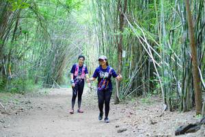 BIB: 
                            <button type="button" onclick="openModal(4161132)" class="btn btn-primary btn-sm float-right btn-popup" data-toggle="modal" data-target=".modal-high-quality">
                        <i class="fas fa-shopping-cart"></i> Add to Cart
                    </button>
                                            <button type="button" onclick="isThisMe(4161132, true)" class="btn btn-success btn-sm float-right btn-popup btn-isme hidden" data-toggle="tooltip" data-placement="bottom" title="นี่คือรูปของคุณใช่ไหม คลิกที่นี่เพื่อเอาเข้าอัลบั้ม">
                        <i class="fas fa-plus"></i> Add to album
                    </button>
                    <button type="button" onclick="isThisMe(4161132, false)" class="btn btn-warning btn-sm float-right btn-popup btn-isnotme hidden">
                        <i class="fas fa-ban"></i> Remove from album
                    </button>