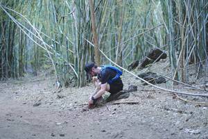 BIB: 
                            <button type="button" onclick="openModal(4515287)" class="btn btn-primary btn-sm float-right btn-popup" data-toggle="modal" data-target=".modal-high-quality">
                        <i class="fas fa-shopping-cart"></i> Add to Cart
                    </button>
                                            <button type="button" onclick="isThisMe(4515287, true)" class="btn btn-success btn-sm float-right btn-popup btn-isme hidden" data-toggle="tooltip" data-placement="bottom" title="นี่คือรูปของคุณใช่ไหม คลิกที่นี่เพื่อเอาเข้าอัลบั้ม">
                        <i class="fas fa-plus"></i> Add to album
                    </button>
                    <button type="button" onclick="isThisMe(4515287, false)" class="btn btn-warning btn-sm float-right btn-popup btn-isnotme hidden">
                        <i class="fas fa-ban"></i> Remove from album
                    </button>