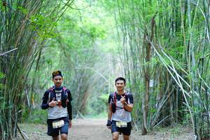 BIB: 
                            <button type="button" onclick="openModal(4161114)" class="btn btn-primary btn-sm float-right btn-popup" data-toggle="modal" data-target=".modal-high-quality">
                        <i class="fas fa-shopping-cart"></i> Add to Cart
                    </button>
                                            <button type="button" onclick="isThisMe(4161114, true)" class="btn btn-success btn-sm float-right btn-popup btn-isme hidden" data-toggle="tooltip" data-placement="bottom" title="นี่คือรูปของคุณใช่ไหม คลิกที่นี่เพื่อเอาเข้าอัลบั้ม">
                        <i class="fas fa-plus"></i> Add to album
                    </button>
                    <button type="button" onclick="isThisMe(4161114, false)" class="btn btn-warning btn-sm float-right btn-popup btn-isnotme hidden">
                        <i class="fas fa-ban"></i> Remove from album
                    </button>