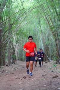 BIB: 2372
                            <button type="button" onclick="openModal(4295060)" class="btn btn-primary btn-sm float-right btn-popup" data-toggle="modal" data-target=".modal-high-quality">
                        <i class="fas fa-shopping-cart"></i> Add to Cart
                    </button>
                                            <button type="button" onclick="isThisMe(4295060, true)" class="btn btn-success btn-sm float-right btn-popup btn-isme hidden" data-toggle="tooltip" data-placement="bottom" title="นี่คือรูปของคุณใช่ไหม คลิกที่นี่เพื่อเอาเข้าอัลบั้ม">
                        <i class="fas fa-plus"></i> Add to album
                    </button>
                    <button type="button" onclick="isThisMe(4295060, false)" class="btn btn-warning btn-sm float-right btn-popup btn-isnotme hidden">
                        <i class="fas fa-ban"></i> Remove from album
                    </button>