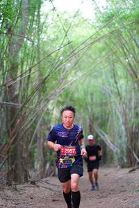 BIB: 2957
                            <button type="button" onclick="openModal(4285055)" class="btn btn-primary btn-sm float-right btn-popup" data-toggle="modal" data-target=".modal-high-quality">
                        <i class="fas fa-shopping-cart"></i> Add to Cart
                    </button>
                                            <button type="button" onclick="isThisMe(4285055, true)" class="btn btn-success btn-sm float-right btn-popup btn-isme hidden" data-toggle="tooltip" data-placement="bottom" title="นี่คือรูปของคุณใช่ไหม คลิกที่นี่เพื่อเอาเข้าอัลบั้ม">
                        <i class="fas fa-plus"></i> Add to album
                    </button>
                    <button type="button" onclick="isThisMe(4285055, false)" class="btn btn-warning btn-sm float-right btn-popup btn-isnotme hidden">
                        <i class="fas fa-ban"></i> Remove from album
                    </button>