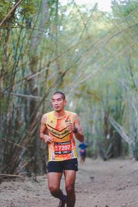 BIB: 7207
                            <button type="button" onclick="openModal(4530101)" class="btn btn-primary btn-sm float-right btn-popup" data-toggle="modal" data-target=".modal-high-quality">
                        <i class="fas fa-shopping-cart"></i> Add to Cart
                    </button>
                                            <button type="button" onclick="isThisMe(4530101, true)" class="btn btn-success btn-sm float-right btn-popup btn-isme hidden" data-toggle="tooltip" data-placement="bottom" title="นี่คือรูปของคุณใช่ไหม คลิกที่นี่เพื่อเอาเข้าอัลบั้ม">
                        <i class="fas fa-plus"></i> Add to album
                    </button>
                    <button type="button" onclick="isThisMe(4530101, false)" class="btn btn-warning btn-sm float-right btn-popup btn-isnotme hidden">
                        <i class="fas fa-ban"></i> Remove from album
                    </button>