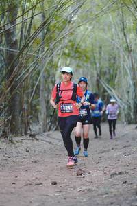 BIB: 3247
                            <button type="button" onclick="openModal(4523583)" class="btn btn-primary btn-sm float-right btn-popup" data-toggle="modal" data-target=".modal-high-quality">
                        <i class="fas fa-shopping-cart"></i> Add to Cart
                    </button>
                                            <button type="button" onclick="isThisMe(4523583, true)" class="btn btn-success btn-sm float-right btn-popup btn-isme hidden" data-toggle="tooltip" data-placement="bottom" title="นี่คือรูปของคุณใช่ไหม คลิกที่นี่เพื่อเอาเข้าอัลบั้ม">
                        <i class="fas fa-plus"></i> Add to album
                    </button>
                    <button type="button" onclick="isThisMe(4523583, false)" class="btn btn-warning btn-sm float-right btn-popup btn-isnotme hidden">
                        <i class="fas fa-ban"></i> Remove from album
                    </button>