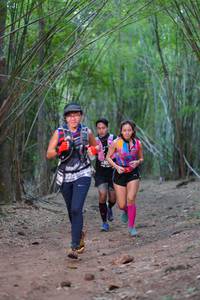 BIB: 
                            <button type="button" onclick="openModal(4321760)" class="btn btn-primary btn-sm float-right btn-popup" data-toggle="modal" data-target=".modal-high-quality">
                        <i class="fas fa-shopping-cart"></i> Add to Cart
                    </button>
                                            <button type="button" onclick="isThisMe(4321760, true)" class="btn btn-success btn-sm float-right btn-popup btn-isme hidden" data-toggle="tooltip" data-placement="bottom" title="นี่คือรูปของคุณใช่ไหม คลิกที่นี่เพื่อเอาเข้าอัลบั้ม">
                        <i class="fas fa-plus"></i> Add to album
                    </button>
                    <button type="button" onclick="isThisMe(4321760, false)" class="btn btn-warning btn-sm float-right btn-popup btn-isnotme hidden">
                        <i class="fas fa-ban"></i> Remove from album
                    </button>