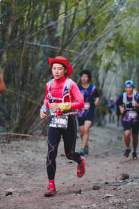 BIB: 3486
                            <button type="button" onclick="openModal(4522180)" class="btn btn-primary btn-sm float-right btn-popup" data-toggle="modal" data-target=".modal-high-quality">
                        <i class="fas fa-shopping-cart"></i> Add to Cart
                    </button>
                                            <button type="button" onclick="isThisMe(4522180, true)" class="btn btn-success btn-sm float-right btn-popup btn-isme hidden" data-toggle="tooltip" data-placement="bottom" title="นี่คือรูปของคุณใช่ไหม คลิกที่นี่เพื่อเอาเข้าอัลบั้ม">
                        <i class="fas fa-plus"></i> Add to album
                    </button>
                    <button type="button" onclick="isThisMe(4522180, false)" class="btn btn-warning btn-sm float-right btn-popup btn-isnotme hidden">
                        <i class="fas fa-ban"></i> Remove from album
                    </button>