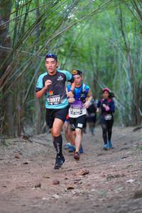 BIB: 3977, 
                            <button type="button" onclick="openModal(4321956)" class="btn btn-primary btn-sm float-right btn-popup" data-toggle="modal" data-target=".modal-high-quality">
                        <i class="fas fa-shopping-cart"></i> Add to Cart
                    </button>
                                            <button type="button" onclick="isThisMe(4321956, true)" class="btn btn-success btn-sm float-right btn-popup btn-isme hidden" data-toggle="tooltip" data-placement="bottom" title="นี่คือรูปของคุณใช่ไหม คลิกที่นี่เพื่อเอาเข้าอัลบั้ม">
                        <i class="fas fa-plus"></i> Add to album
                    </button>
                    <button type="button" onclick="isThisMe(4321956, false)" class="btn btn-warning btn-sm float-right btn-popup btn-isnotme hidden">
                        <i class="fas fa-ban"></i> Remove from album
                    </button>