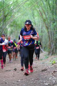 BIB: 2593, 
                            <button type="button" onclick="openModal(4289980)" class="btn btn-primary btn-sm float-right btn-popup" data-toggle="modal" data-target=".modal-high-quality">
                        <i class="fas fa-shopping-cart"></i> Add to Cart
                    </button>
                                            <button type="button" onclick="isThisMe(4289980, true)" class="btn btn-success btn-sm float-right btn-popup btn-isme hidden" data-toggle="tooltip" data-placement="bottom" title="นี่คือรูปของคุณใช่ไหม คลิกที่นี่เพื่อเอาเข้าอัลบั้ม">
                        <i class="fas fa-plus"></i> Add to album
                    </button>
                    <button type="button" onclick="isThisMe(4289980, false)" class="btn btn-warning btn-sm float-right btn-popup btn-isnotme hidden">
                        <i class="fas fa-ban"></i> Remove from album
                    </button>