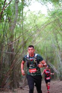 BIB: 2993
                            <button type="button" onclick="openModal(4285225)" class="btn btn-primary btn-sm float-right btn-popup" data-toggle="modal" data-target=".modal-high-quality">
                        <i class="fas fa-shopping-cart"></i> Add to Cart
                    </button>
                                            <button type="button" onclick="isThisMe(4285225, true)" class="btn btn-success btn-sm float-right btn-popup btn-isme hidden" data-toggle="tooltip" data-placement="bottom" title="นี่คือรูปของคุณใช่ไหม คลิกที่นี่เพื่อเอาเข้าอัลบั้ม">
                        <i class="fas fa-plus"></i> Add to album
                    </button>
                    <button type="button" onclick="isThisMe(4285225, false)" class="btn btn-warning btn-sm float-right btn-popup btn-isnotme hidden">
                        <i class="fas fa-ban"></i> Remove from album
                    </button>