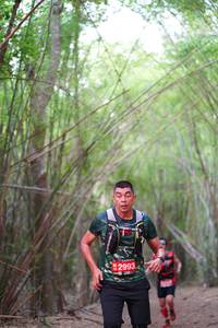 BIB: 2993
                            <button type="button" onclick="openModal(4285223)" class="btn btn-primary btn-sm float-right btn-popup" data-toggle="modal" data-target=".modal-high-quality">
                        <i class="fas fa-shopping-cart"></i> Add to Cart
                    </button>
                                            <button type="button" onclick="isThisMe(4285223, true)" class="btn btn-success btn-sm float-right btn-popup btn-isme hidden" data-toggle="tooltip" data-placement="bottom" title="นี่คือรูปของคุณใช่ไหม คลิกที่นี่เพื่อเอาเข้าอัลบั้ม">
                        <i class="fas fa-plus"></i> Add to album
                    </button>
                    <button type="button" onclick="isThisMe(4285223, false)" class="btn btn-warning btn-sm float-right btn-popup btn-isnotme hidden">
                        <i class="fas fa-ban"></i> Remove from album
                    </button>