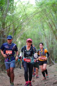 BIB: 2833, 2596
                            <button type="button" onclick="openModal(4287803)" class="btn btn-primary btn-sm float-right btn-popup" data-toggle="modal" data-target=".modal-high-quality">
                        <i class="fas fa-shopping-cart"></i> Add to Cart
                    </button>
                                            <button type="button" onclick="isThisMe(4287803, true)" class="btn btn-success btn-sm float-right btn-popup btn-isme hidden" data-toggle="tooltip" data-placement="bottom" title="นี่คือรูปของคุณใช่ไหม คลิกที่นี่เพื่อเอาเข้าอัลบั้ม">
                        <i class="fas fa-plus"></i> Add to album
                    </button>
                    <button type="button" onclick="isThisMe(4287803, false)" class="btn btn-warning btn-sm float-right btn-popup btn-isnotme hidden">
                        <i class="fas fa-ban"></i> Remove from album
                    </button>