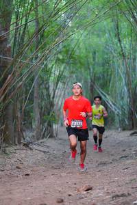 BIB: 3171
                            <button type="button" onclick="openModal(4321329)" class="btn btn-primary btn-sm float-right btn-popup" data-toggle="modal" data-target=".modal-high-quality">
                        <i class="fas fa-shopping-cart"></i> Add to Cart
                    </button>
                                            <button type="button" onclick="isThisMe(4321329, true)" class="btn btn-success btn-sm float-right btn-popup btn-isme hidden" data-toggle="tooltip" data-placement="bottom" title="นี่คือรูปของคุณใช่ไหม คลิกที่นี่เพื่อเอาเข้าอัลบั้ม">
                        <i class="fas fa-plus"></i> Add to album
                    </button>
                    <button type="button" onclick="isThisMe(4321329, false)" class="btn btn-warning btn-sm float-right btn-popup btn-isnotme hidden">
                        <i class="fas fa-ban"></i> Remove from album
                    </button>