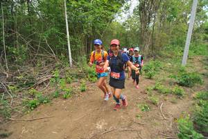 BIB: 
                            <button type="button" onclick="openModal(4388110)" class="btn btn-primary btn-sm float-right btn-popup" data-toggle="modal" data-target=".modal-high-quality">
                        <i class="fas fa-shopping-cart"></i> Add to Cart
                    </button>
                                            <button type="button" onclick="isThisMe(4388110, true)" class="btn btn-success btn-sm float-right btn-popup btn-isme hidden" data-toggle="tooltip" data-placement="bottom" title="นี่คือรูปของคุณใช่ไหม คลิกที่นี่เพื่อเอาเข้าอัลบั้ม">
                        <i class="fas fa-plus"></i> Add to album
                    </button>
                    <button type="button" onclick="isThisMe(4388110, false)" class="btn btn-warning btn-sm float-right btn-popup btn-isnotme hidden">
                        <i class="fas fa-ban"></i> Remove from album
                    </button>