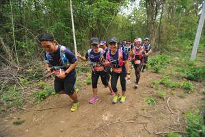 BIB: 214
                            <button type="button" onclick="openModal(4388511)" class="btn btn-primary btn-sm float-right btn-popup" data-toggle="modal" data-target=".modal-high-quality">
                        <i class="fas fa-shopping-cart"></i> Add to Cart
                    </button>
                                            <button type="button" onclick="isThisMe(4388511, true)" class="btn btn-success btn-sm float-right btn-popup btn-isme hidden" data-toggle="tooltip" data-placement="bottom" title="นี่คือรูปของคุณใช่ไหม คลิกที่นี่เพื่อเอาเข้าอัลบั้ม">
                        <i class="fas fa-plus"></i> Add to album
                    </button>
                    <button type="button" onclick="isThisMe(4388511, false)" class="btn btn-warning btn-sm float-right btn-popup btn-isnotme hidden">
                        <i class="fas fa-ban"></i> Remove from album
                    </button>