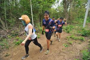 BIB: 2016, 2091, 
                            <button type="button" onclick="openModal(4388787)" class="btn btn-primary btn-sm float-right btn-popup" data-toggle="modal" data-target=".modal-high-quality">
                        <i class="fas fa-shopping-cart"></i> Add to Cart
                    </button>
                                            <button type="button" onclick="isThisMe(4388787, true)" class="btn btn-success btn-sm float-right btn-popup btn-isme hidden" data-toggle="tooltip" data-placement="bottom" title="นี่คือรูปของคุณใช่ไหม คลิกที่นี่เพื่อเอาเข้าอัลบั้ม">
                        <i class="fas fa-plus"></i> Add to album
                    </button>
                    <button type="button" onclick="isThisMe(4388787, false)" class="btn btn-warning btn-sm float-right btn-popup btn-isnotme hidden">
                        <i class="fas fa-ban"></i> Remove from album
                    </button>