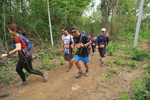 BIB: 
                            <button type="button" onclick="openModal(4389186)" class="btn btn-primary btn-sm float-right btn-popup" data-toggle="modal" data-target=".modal-high-quality">
                        <i class="fas fa-shopping-cart"></i> Add to Cart
                    </button>
                                            <button type="button" onclick="isThisMe(4389186, true)" class="btn btn-success btn-sm float-right btn-popup btn-isme hidden" data-toggle="tooltip" data-placement="bottom" title="นี่คือรูปของคุณใช่ไหม คลิกที่นี่เพื่อเอาเข้าอัลบั้ม">
                        <i class="fas fa-plus"></i> Add to album
                    </button>
                    <button type="button" onclick="isThisMe(4389186, false)" class="btn btn-warning btn-sm float-right btn-popup btn-isnotme hidden">
                        <i class="fas fa-ban"></i> Remove from album
                    </button>