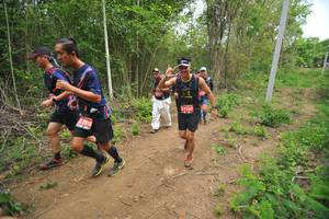 BIB: 7157
                            <button type="button" onclick="openModal(4386877)" class="btn btn-primary btn-sm float-right btn-popup" data-toggle="modal" data-target=".modal-high-quality">
                        <i class="fas fa-shopping-cart"></i> Add to Cart
                    </button>
                                            <button type="button" onclick="isThisMe(4386877, true)" class="btn btn-success btn-sm float-right btn-popup btn-isme hidden" data-toggle="tooltip" data-placement="bottom" title="นี่คือรูปของคุณใช่ไหม คลิกที่นี่เพื่อเอาเข้าอัลบั้ม">
                        <i class="fas fa-plus"></i> Add to album
                    </button>
                    <button type="button" onclick="isThisMe(4386877, false)" class="btn btn-warning btn-sm float-right btn-popup btn-isnotme hidden">
                        <i class="fas fa-ban"></i> Remove from album
                    </button>