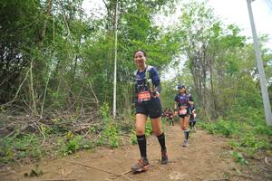 BIB: 42553
                            <button type="button" onclick="openModal(4389901)" class="btn btn-primary btn-sm float-right btn-popup" data-toggle="modal" data-target=".modal-high-quality">
                        <i class="fas fa-shopping-cart"></i> Add to Cart
                    </button>
                                            <button type="button" onclick="isThisMe(4389901, true)" class="btn btn-success btn-sm float-right btn-popup btn-isme hidden" data-toggle="tooltip" data-placement="bottom" title="นี่คือรูปของคุณใช่ไหม คลิกที่นี่เพื่อเอาเข้าอัลบั้ม">
                        <i class="fas fa-plus"></i> Add to album
                    </button>
                    <button type="button" onclick="isThisMe(4389901, false)" class="btn btn-warning btn-sm float-right btn-popup btn-isnotme hidden">
                        <i class="fas fa-ban"></i> Remove from album
                    </button>