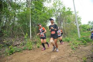 BIB: 2130
                            <button type="button" onclick="openModal(4390238)" class="btn btn-primary btn-sm float-right btn-popup" data-toggle="modal" data-target=".modal-high-quality">
                        <i class="fas fa-shopping-cart"></i> Add to Cart
                    </button>
                                            <button type="button" onclick="isThisMe(4390238, true)" class="btn btn-success btn-sm float-right btn-popup btn-isme hidden" data-toggle="tooltip" data-placement="bottom" title="นี่คือรูปของคุณใช่ไหม คลิกที่นี่เพื่อเอาเข้าอัลบั้ม">
                        <i class="fas fa-plus"></i> Add to album
                    </button>
                    <button type="button" onclick="isThisMe(4390238, false)" class="btn btn-warning btn-sm float-right btn-popup btn-isnotme hidden">
                        <i class="fas fa-ban"></i> Remove from album
                    </button>