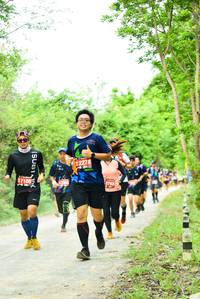 BIB: 2278, 
                            <button type="button" onclick="openModal(4210706)" class="btn btn-primary btn-sm float-right btn-popup" data-toggle="modal" data-target=".modal-high-quality">
                        <i class="fas fa-shopping-cart"></i> Add to Cart
                    </button>
                                            <button type="button" onclick="isThisMe(4210706, true)" class="btn btn-success btn-sm float-right btn-popup btn-isme hidden" data-toggle="tooltip" data-placement="bottom" title="นี่คือรูปของคุณใช่ไหม คลิกที่นี่เพื่อเอาเข้าอัลบั้ม">
                        <i class="fas fa-plus"></i> Add to album
                    </button>
                    <button type="button" onclick="isThisMe(4210706, false)" class="btn btn-warning btn-sm float-right btn-popup btn-isnotme hidden">
                        <i class="fas fa-ban"></i> Remove from album
                    </button>