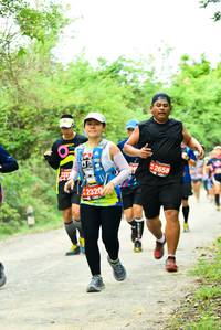 BIB: 2658, 2320
                            <button type="button" onclick="openModal(4211279)" class="btn btn-primary btn-sm float-right btn-popup" data-toggle="modal" data-target=".modal-high-quality">
                        <i class="fas fa-shopping-cart"></i> Add to Cart
                    </button>
                                            <button type="button" onclick="isThisMe(4211279, true)" class="btn btn-success btn-sm float-right btn-popup btn-isme hidden" data-toggle="tooltip" data-placement="bottom" title="นี่คือรูปของคุณใช่ไหม คลิกที่นี่เพื่อเอาเข้าอัลบั้ม">
                        <i class="fas fa-plus"></i> Add to album
                    </button>
                    <button type="button" onclick="isThisMe(4211279, false)" class="btn btn-warning btn-sm float-right btn-popup btn-isnotme hidden">
                        <i class="fas fa-ban"></i> Remove from album
                    </button>