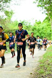 BIB: 2007, 2219
                            <button type="button" onclick="openModal(4211003)" class="btn btn-primary btn-sm float-right btn-popup" data-toggle="modal" data-target=".modal-high-quality">
                        <i class="fas fa-shopping-cart"></i> Add to Cart
                    </button>
                                            <button type="button" onclick="isThisMe(4211003, true)" class="btn btn-success btn-sm float-right btn-popup btn-isme hidden" data-toggle="tooltip" data-placement="bottom" title="นี่คือรูปของคุณใช่ไหม คลิกที่นี่เพื่อเอาเข้าอัลบั้ม">
                        <i class="fas fa-plus"></i> Add to album
                    </button>
                    <button type="button" onclick="isThisMe(4211003, false)" class="btn btn-warning btn-sm float-right btn-popup btn-isnotme hidden">
                        <i class="fas fa-ban"></i> Remove from album
                    </button>