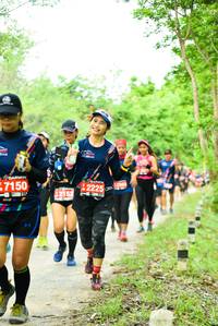 BIB: 2225, 2153, 7150
                            <button type="button" onclick="openModal(4213057)" class="btn btn-primary btn-sm float-right btn-popup" data-toggle="modal" data-target=".modal-high-quality">
                        <i class="fas fa-shopping-cart"></i> Add to Cart
                    </button>
                                            <button type="button" onclick="isThisMe(4213057, true)" class="btn btn-success btn-sm float-right btn-popup btn-isme hidden" data-toggle="tooltip" data-placement="bottom" title="นี่คือรูปของคุณใช่ไหม คลิกที่นี่เพื่อเอาเข้าอัลบั้ม">
                        <i class="fas fa-plus"></i> Add to album
                    </button>
                    <button type="button" onclick="isThisMe(4213057, false)" class="btn btn-warning btn-sm float-right btn-popup btn-isnotme hidden">
                        <i class="fas fa-ban"></i> Remove from album
                    </button>