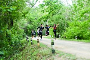 BIB: 
                            <button type="button" onclick="openModal(4203261)" class="btn btn-primary btn-sm float-right btn-popup" data-toggle="modal" data-target=".modal-high-quality">
                        <i class="fas fa-shopping-cart"></i> Add to Cart
                    </button>
                                            <button type="button" onclick="isThisMe(4203261, true)" class="btn btn-success btn-sm float-right btn-popup btn-isme hidden" data-toggle="tooltip" data-placement="bottom" title="นี่คือรูปของคุณใช่ไหม คลิกที่นี่เพื่อเอาเข้าอัลบั้ม">
                        <i class="fas fa-plus"></i> Add to album
                    </button>
                    <button type="button" onclick="isThisMe(4203261, false)" class="btn btn-warning btn-sm float-right btn-popup btn-isnotme hidden">
                        <i class="fas fa-ban"></i> Remove from album
                    </button>