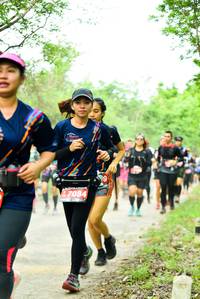 BIB: 7084
                            <button type="button" onclick="openModal(4212952)" class="btn btn-primary btn-sm float-right btn-popup" data-toggle="modal" data-target=".modal-high-quality">
                        <i class="fas fa-shopping-cart"></i> Add to Cart
                    </button>
                                            <button type="button" onclick="isThisMe(4212952, true)" class="btn btn-success btn-sm float-right btn-popup btn-isme hidden" data-toggle="tooltip" data-placement="bottom" title="นี่คือรูปของคุณใช่ไหม คลิกที่นี่เพื่อเอาเข้าอัลบั้ม">
                        <i class="fas fa-plus"></i> Add to album
                    </button>
                    <button type="button" onclick="isThisMe(4212952, false)" class="btn btn-warning btn-sm float-right btn-popup btn-isnotme hidden">
                        <i class="fas fa-ban"></i> Remove from album
                    </button>